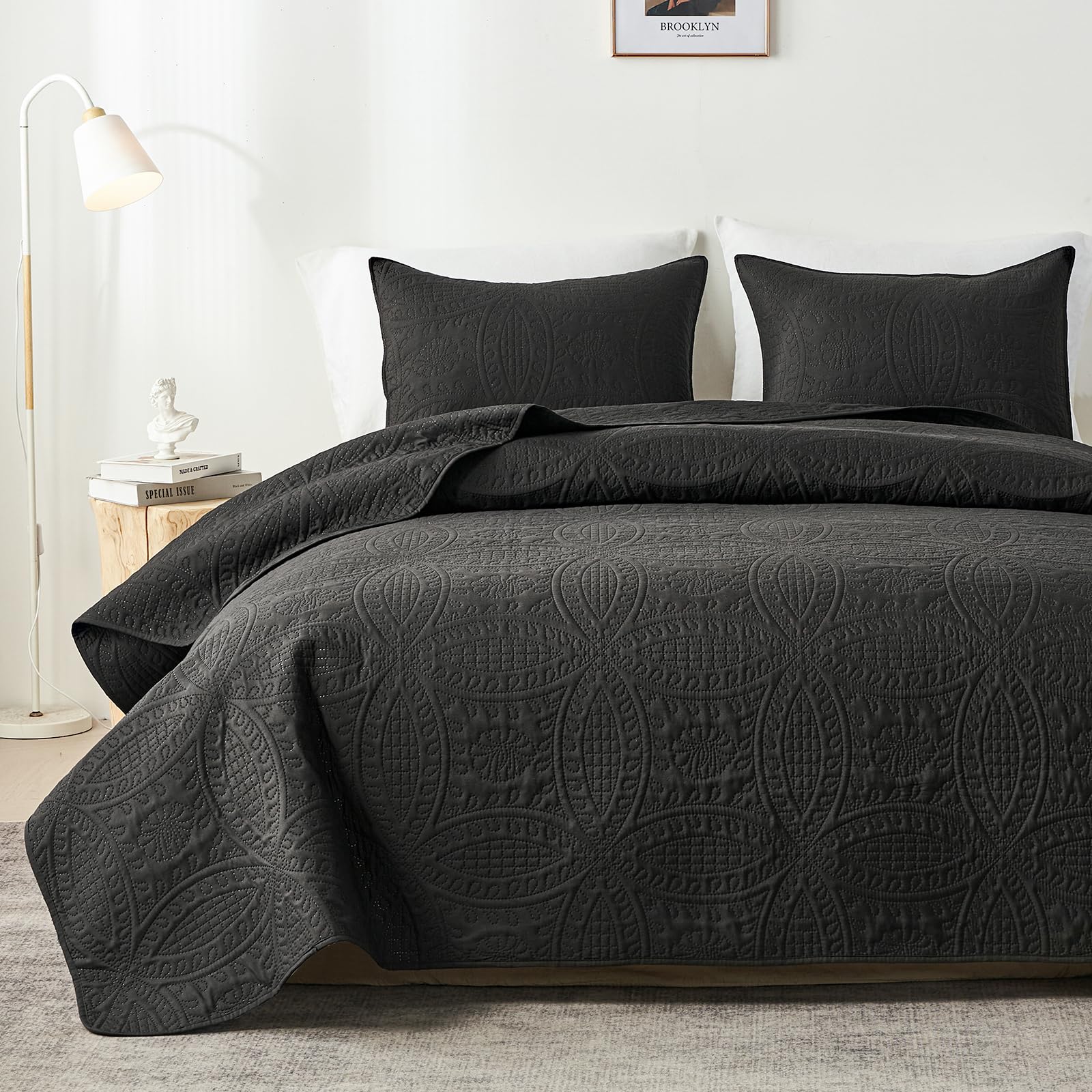 Akkialla Queen Quilt Bedding Set,Black Ultrasonic Full/Queen Quilt Set,Lightweight Soft Bedspread Coverlet,Modern Style Coin Pat